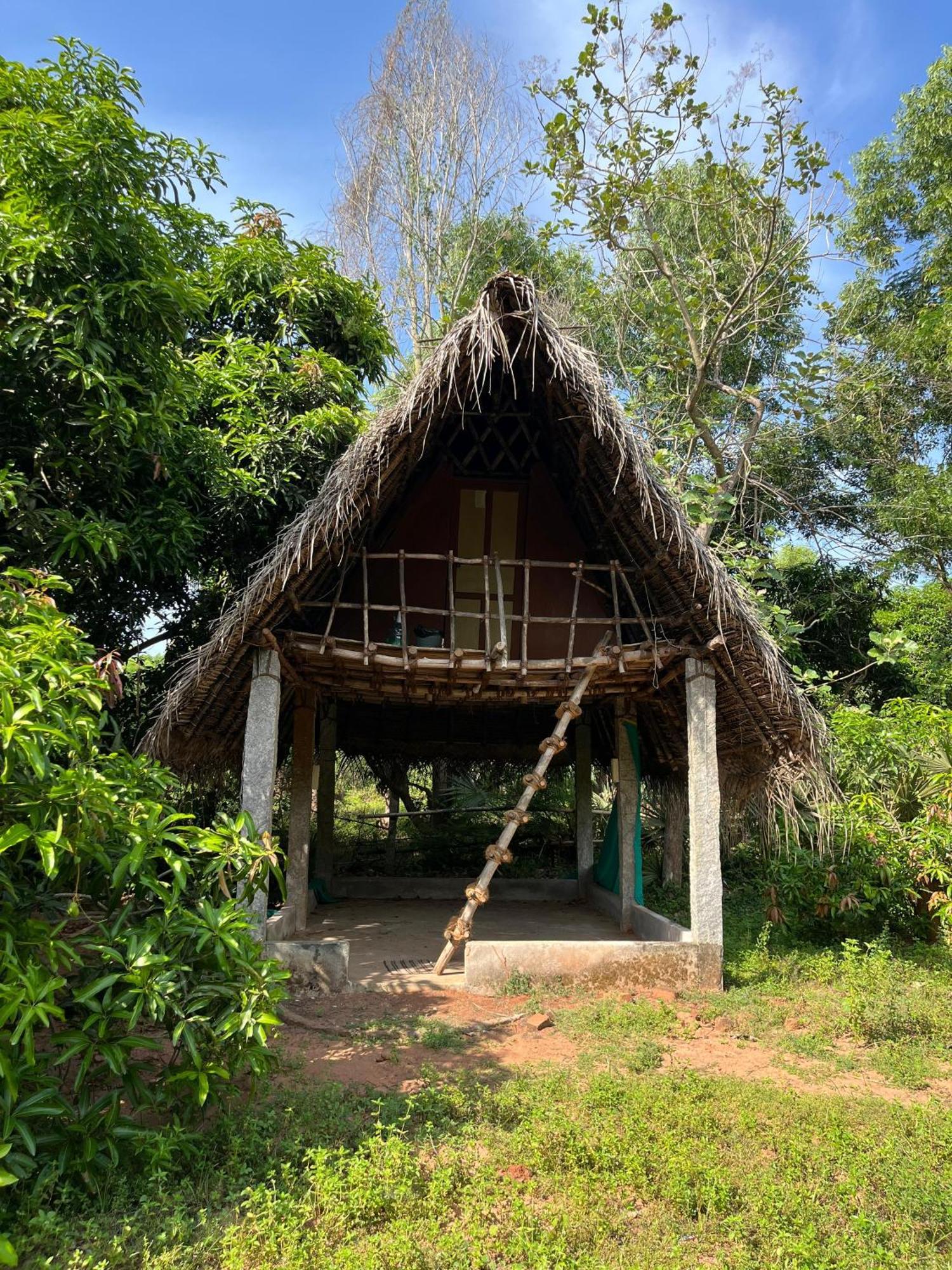 Art Forest Pondicherry Exterior foto