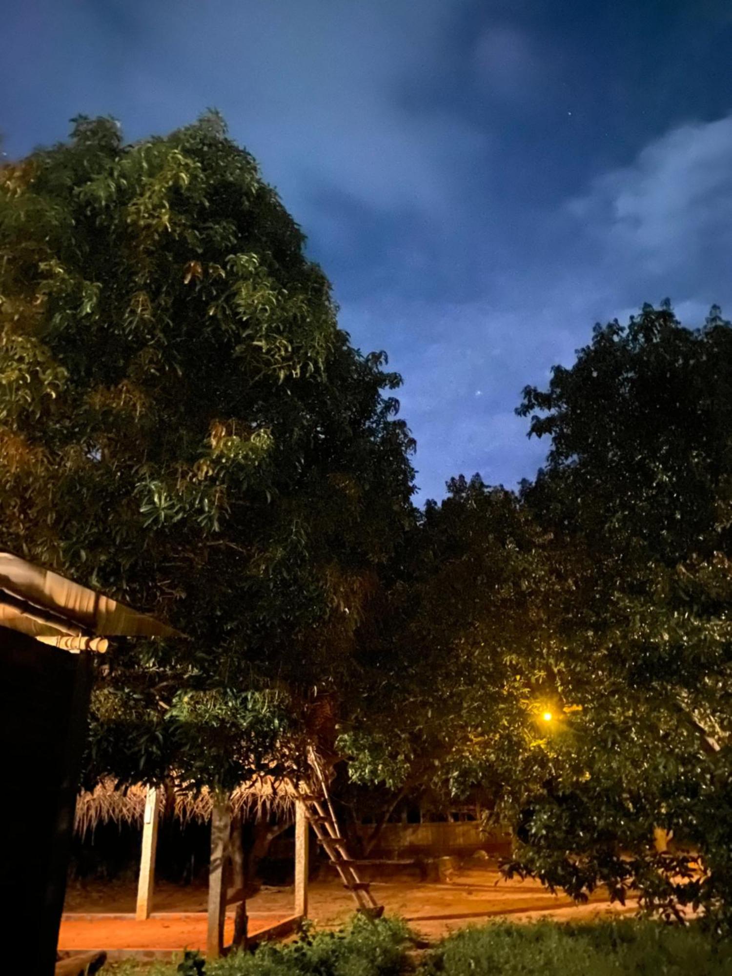Art Forest Pondicherry Exterior foto